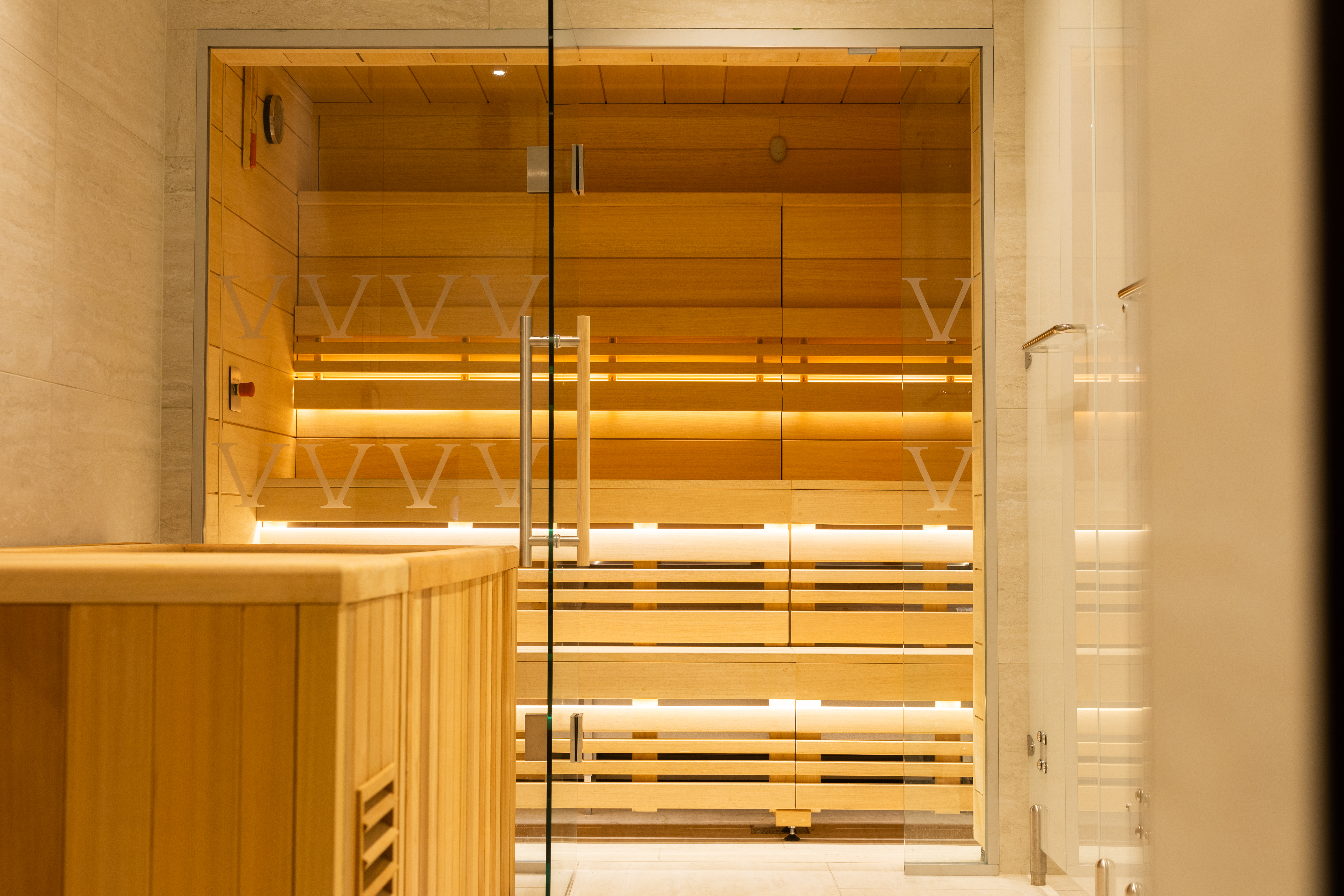 A sauna and plunge pool.