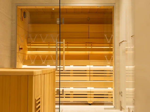 A sauna and plunge pool.